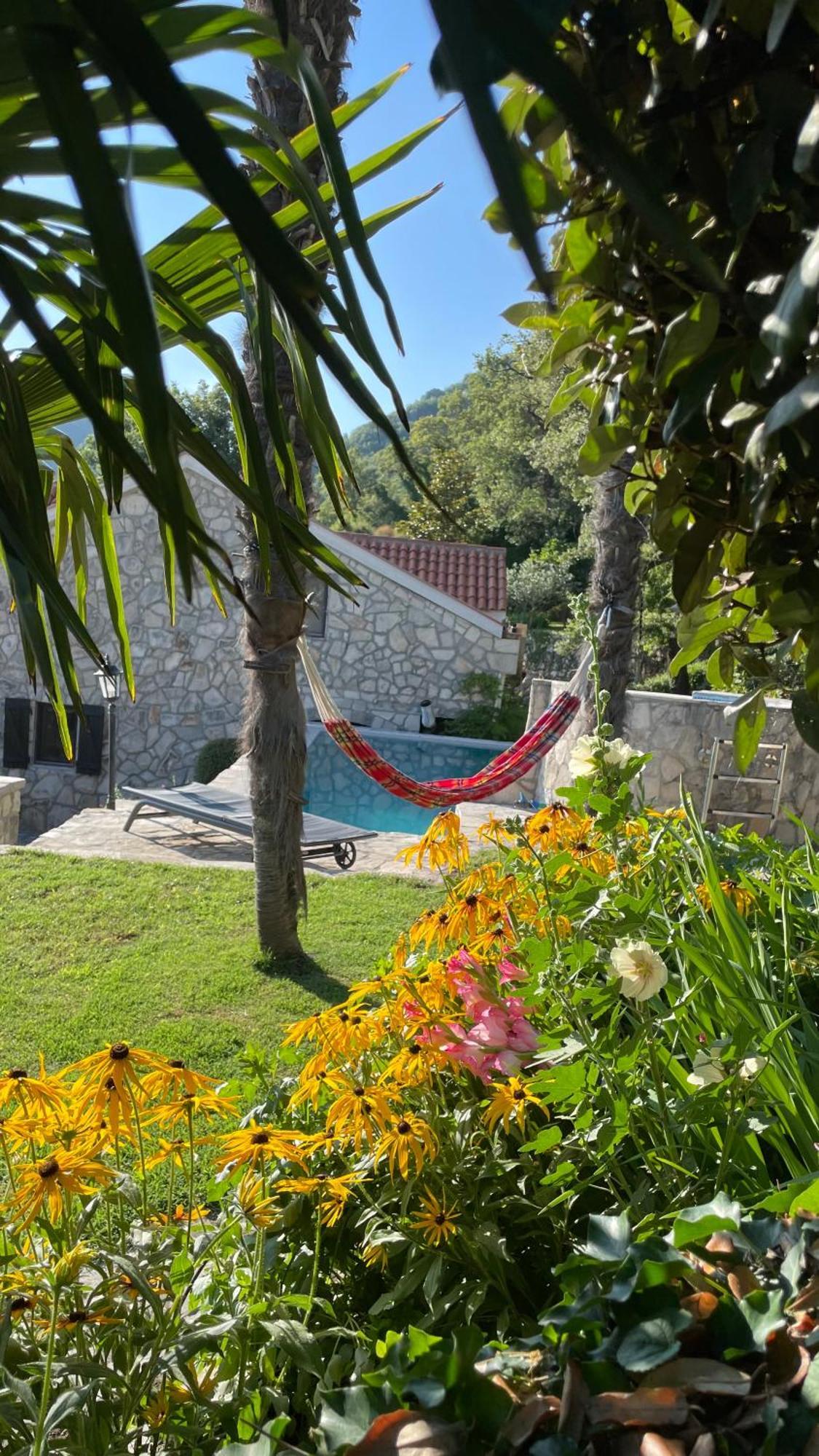 House In The Mountains Near Budva Luaran gambar